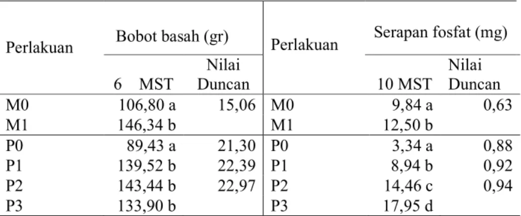 Tabel 8.  Rerata  pengaruh  mikoriza  VA  dan  fosfat  terhadap  bobot  basah  dan  serapan  fosfat  tanaman 10 MST 