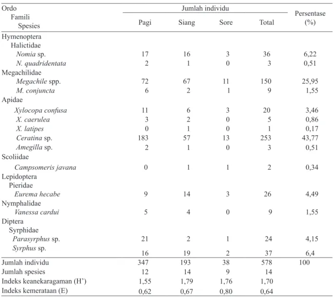 Tabel 2. Spesies dan jumlah individu serangga penyerbuk pada tanaman mentimun varietas lokal Ordo      Famili          Spesies Jumlah individu Persentase (%)