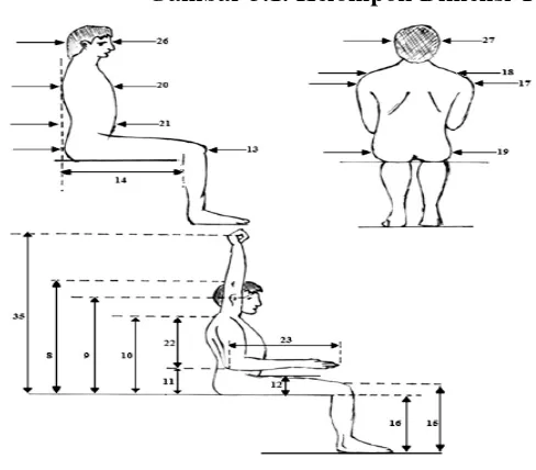 Gambar 3.1. Kelompok Dimensi Tubuh I 