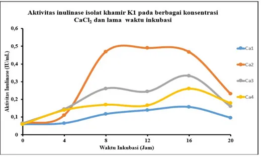 Gambar 3. Aktivitas inulinase isolat khamir K1 dalam medium produksi dengan penambahan CaCl 2  pada berbagai konsentrasi 