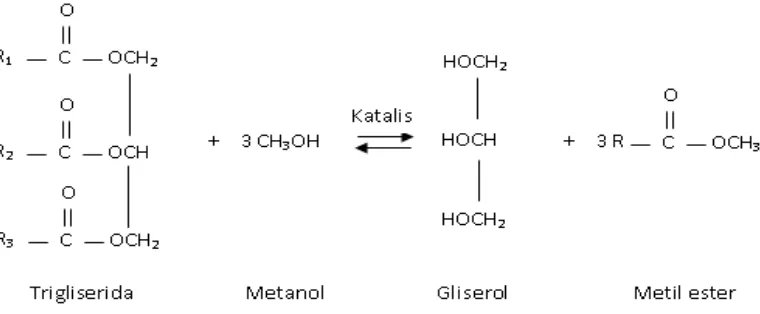 Gambar 3. Reaksi transesterifikasi trigliserida dengan metanol 