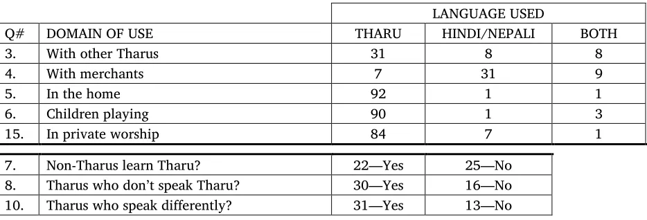 Table 11. Language use patterns 