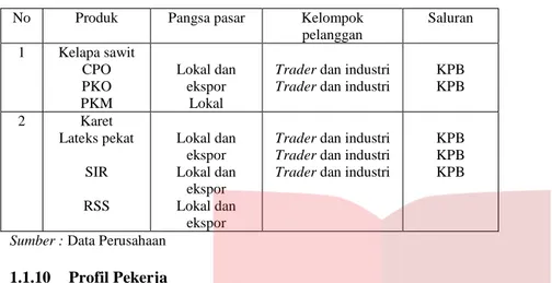 Tabel 1.4  Profil Pekerja 