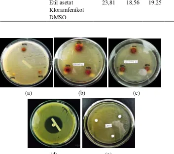 Gambar 9. Hasil pengujian antibakteri terhadap bakteri A. hydrophila; (a) ekstrak dengan pelarut n-heksana (b) ekstrak dengan pelarut metanol (c) ekstrak dengan pelarut etil asetat (d) kontrol positif/kloramfenikol (e) kontrol negatif (DMSO) 