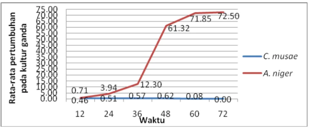 Gambar 3. Grafik rata-rata pertumbuhan C. musae dan cendawan A. niger pada kultur ganda 