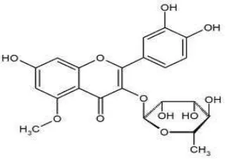 Gambar 2.3 Struktr kimia flavonoid21