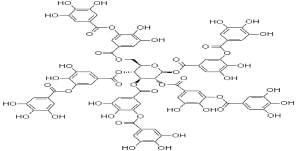 Gambar 2.4 Struktur kimia tanin24 