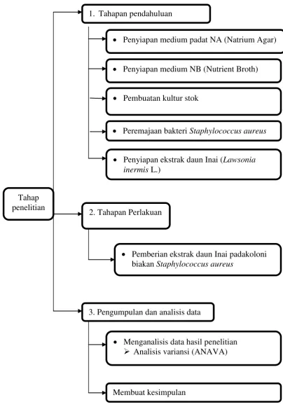 Gambar 3.1 Diagram Alur Penelitian 