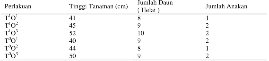 Tabel  1.  Tinggi  Tanaman,  Jumlah  Daun, dan  Jumlah  Anakan/Rumpun  Tanaman  Jahe  Gajah dari  penelitian  pengaruh  berbagai  jenis  pengolahan  tanah  dan  pemberian  macam bahan organik pada jahe gajah