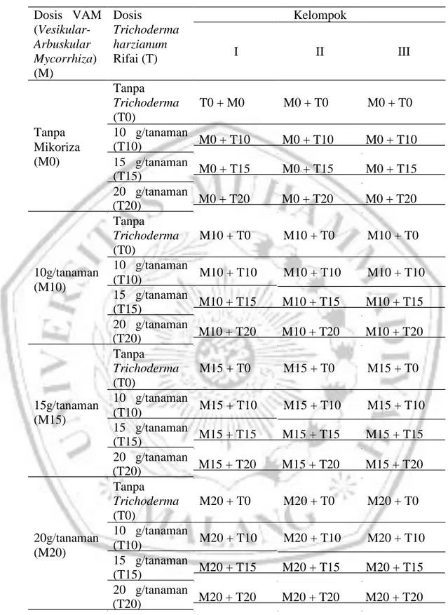 Tabel 4. Kombinasi Dua Faktor dan Pengelompokan Perlakuan  Dosis   VAM  (Vesikular-  Arbuskular  Mycorrhiza)  (M)  Tanpa  Dosis  Trichoderma harzianum Rifai (T) Tanpa Trichoderma (T0)  10   g/tanaman  Kelompok  I                         II                 