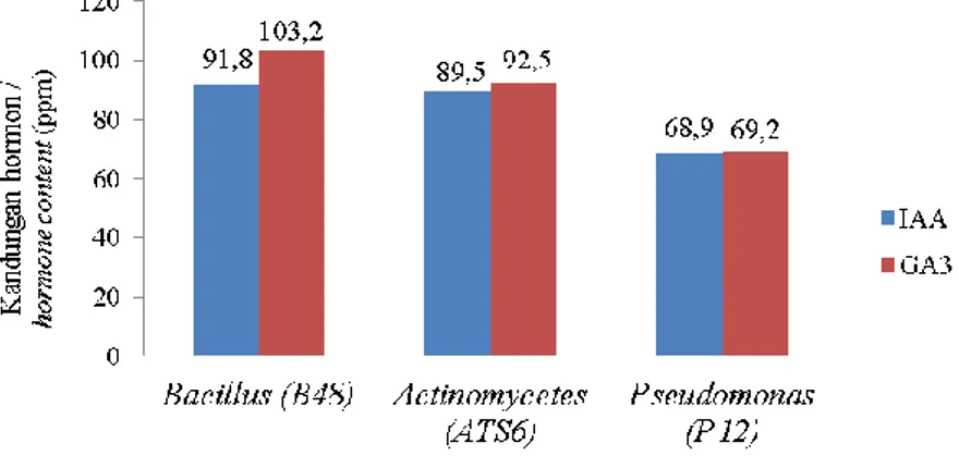 Gambar 3. Grafik hasil analisis kandungan IAA dan GA 3  pada bakteri probiotik 