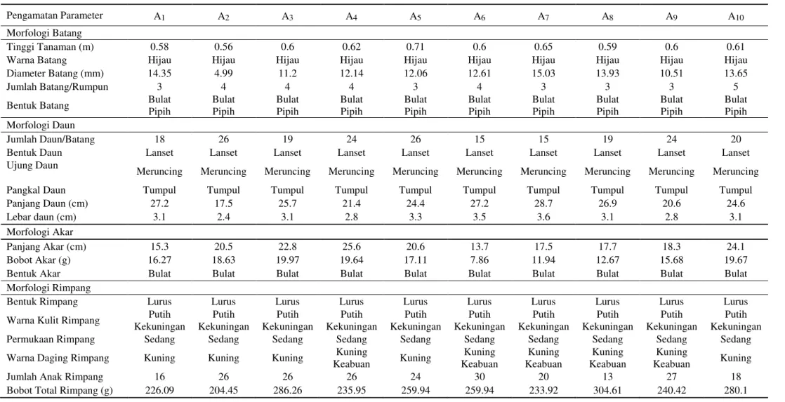 Tabel 4. Karakter-karakter morfologis Jahe 