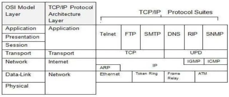 Gambar 2.5. TCP/IP  dan OSI model 