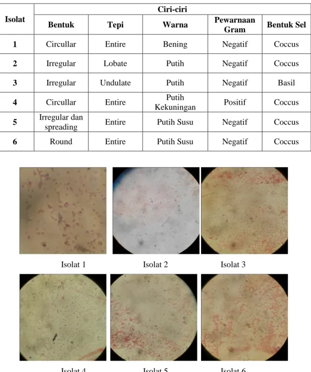 Tabel 3 Ciri Morfologi Koloni Isolat Bakteri pada Skrining Tahap II 