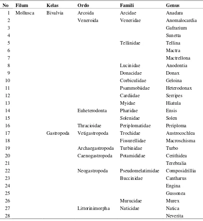 Tabel 10. Klasifikasi Moluska yang Didapatkan di Setiap Stasiun  Penelitian di Perairan Pantai Cermin 