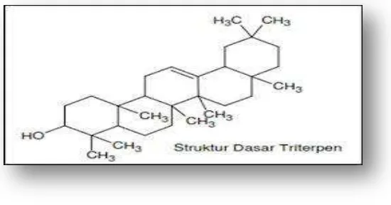 Gambar 2.2. Struktur Kimia Triterpenoid 