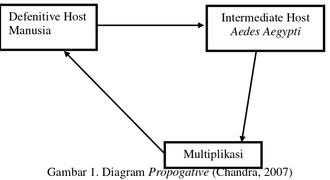 Gambar 1. Diagram Propogative  (Chandra, 2007) 