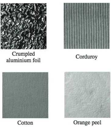 Fig. 1. Samples of Dataset