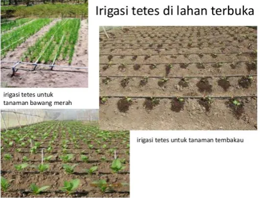Gambar 2.3 Irigasi Siraman 