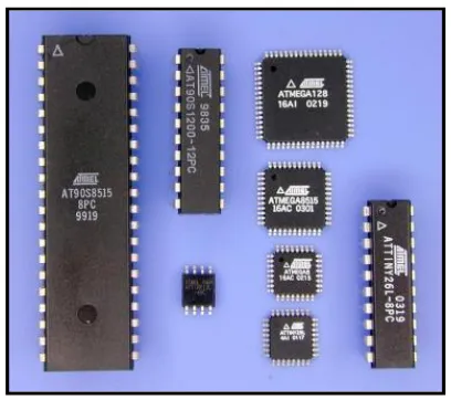Gambar 2.14 IC Mikrokontroler jenis AVR 