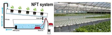 Gambar 12. Contoh NFT System 