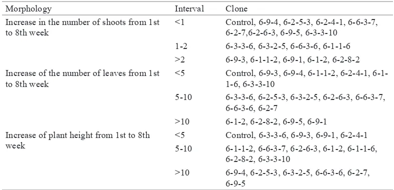 Table 2 Grouping of MV3 Clones Based on Morphological Characteristics