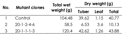 Table 1 Wet weight and dry weight of rodent tuber mutant clones  