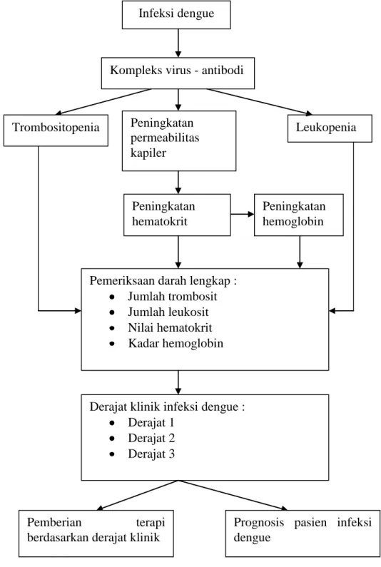 Gambar 4. Kerangka teori Infeksi dengue 