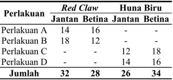 Tabel 8.  Jumlah Individu Jantan dan Betina  Red Claw dan Huna Biru pada Setiap  Perlakuan
