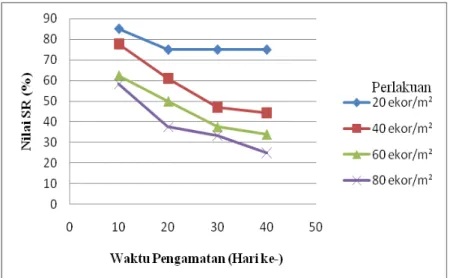 Gambar 3. Rata-rata tingkat kelangsungan hidup (SR) post puerulus Panulirus  homarus 