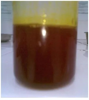 Gambar 1. Crude Palm Oil 