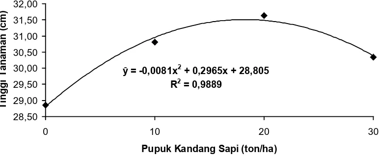 Tabel 2. Efek Tunggal Perlakuan Pupuk Kandang Sapi Terhadap Tinggi Tanaman Perlakuan  Bawang Merah (cm) pada Umur  4 dan 6 MST