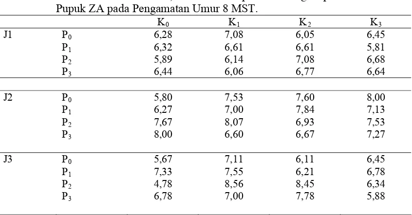 Tabel 5. Jumlah Daun segar/Rumpun (Helai) Tanaman Bawang Merah pada Perlakuan Jarak Tanam, Perlakuan Pupuk Kandang Sapi dan Perlakuan Pupuk ZA pada Pengamatan Umur 8 MST