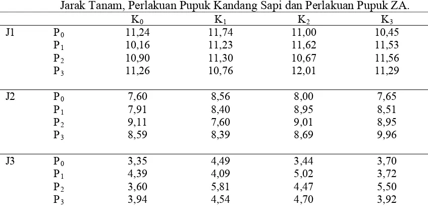 Tabel 10.  Produksi Bobot kering/Plot Tanaman Bawang Merah pada Perlakuan 