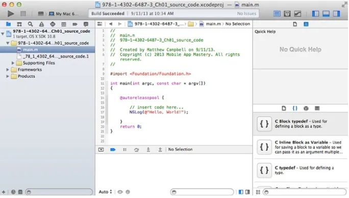 Figure 1-3. Code editor and project navigator