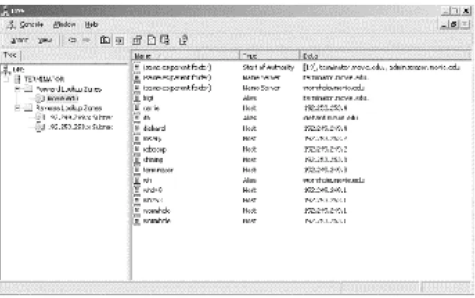 Figure 4-2. The DNS console main window 