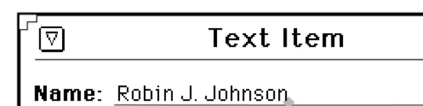 Figure 1-17. Panel item created with the PANEL_TEXT package