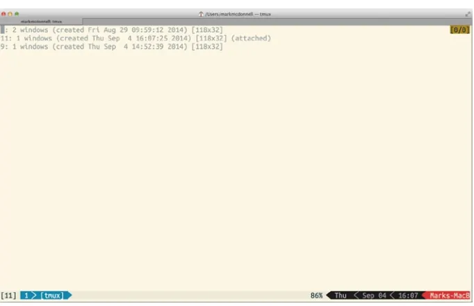 Figure 2-2. Example of listing current sessions (inside tmux)