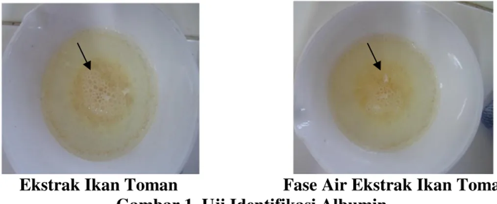 Tabel 2. Hasil Data Rata-rata Luas Luka (cm 2 ) Salep Fase Air Ekstrak Ikan    Toman (  ̅ ± SD; n= 3) 