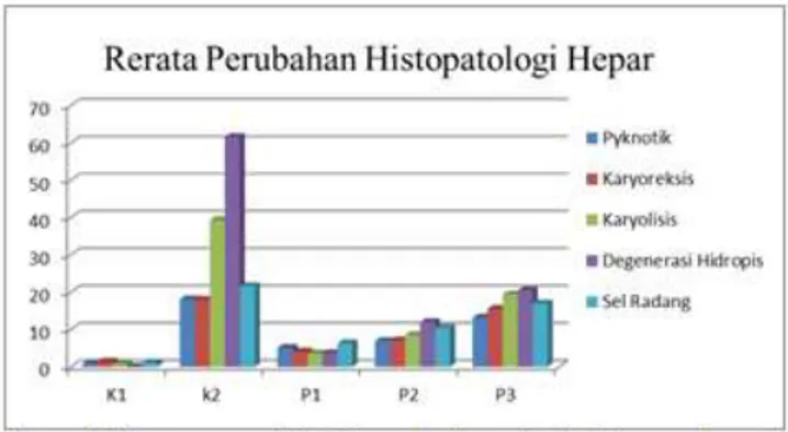 Gambar 3. Gambaran histopatologi hepar mencit  dengan pewarnaan HE  (perbesaran 10x dan 40x);  (C1 dan C2) Perlakuan 1 dengan dosis mimba 0,7  mg  dan  (D1  dan  D2)  Perlakuan  2  dengan  dosis  mimba 0,9 mg adanya kerusakan sel hepar yang  lebih  sedikit