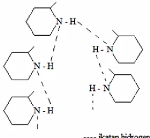Gambar  6. Ikatan Hidrogen Antarsenyawa Alkalo id dala m Ekstrak Daun Tumbuhan Se ma k Bunga Putih   Ikatan  hidrogen  yang  terbentuk 