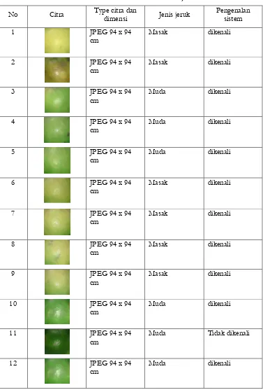 Tabel 4.1 data latih citra jeruk 