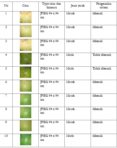 Tabel 4.2 Data Uji citra Jeruk 