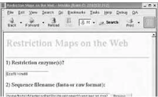 Figure 7-5. Rebase1 in a browser window
