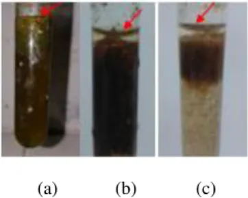Gambar 3. Hasil Isolasi senyawa saponin belimbing wuluh  pada  KLT.  Bercak  coklat  dan  ungu  menunjukkan  keberadaan senyawa kolompok saponin