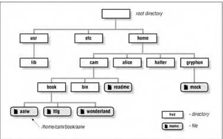 Figure 1.2. A tree of directories and files