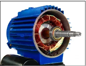 Gambar 2.4 Motor induksi rotor belitan 