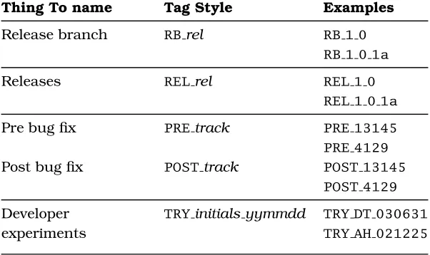 Table 7.1: Possible Tag Naming Conventions