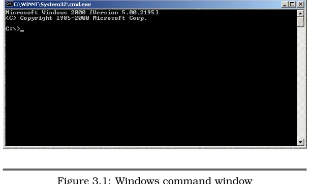 Figure 3.1: Windows command window