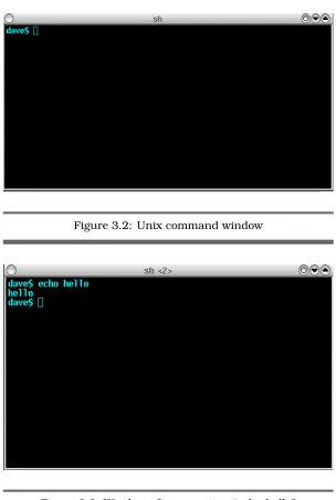 Figure 3.2: Unix command window